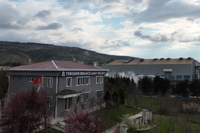 Yenişehir Tarım ve Sanayiyle Şahlanıyor