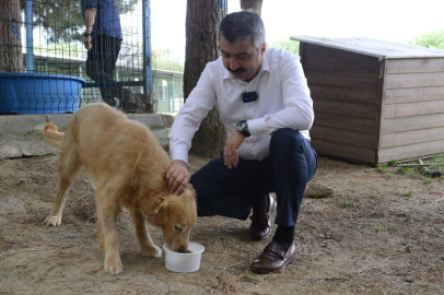 Yıldırım’da atık gıdalar sokak hayvanları için mamaya dönüştürülüyor