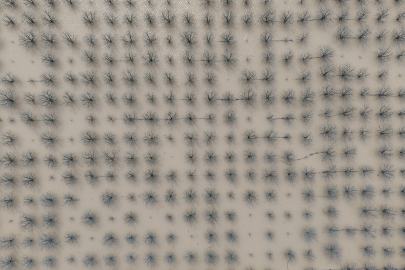 Bursa'da yüzlerce dönüm şeftali ve armut bahçesi su altında