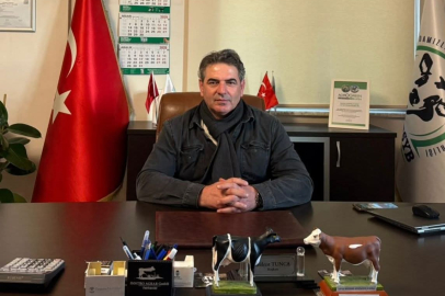 CHP'li meclis üyesine kadına şiddetten ev hapsi