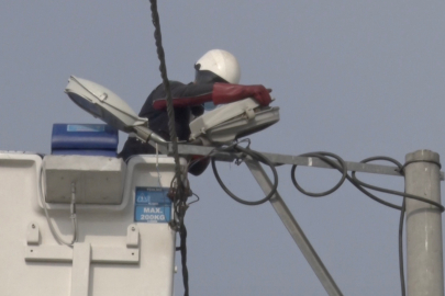 Sokak lambaları kuşlara yuva oldu