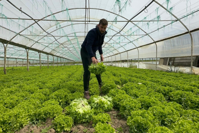Bu sefer tarladan güzel haber geldi