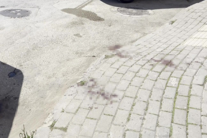 TikTok canlı yayını kanlı bitti