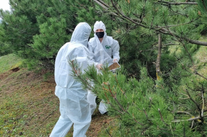 Doğanın sessiz kahramanları görev başında