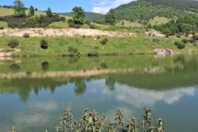 Arkadaşlarıyla girdiği gölette can verdi