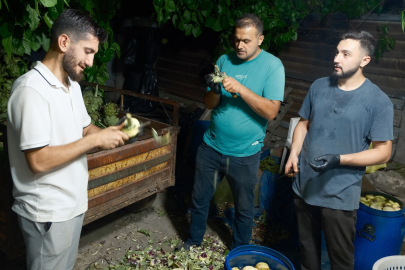 Ailecek enginar soyucular: Soyması 10 saniye sürüyor
