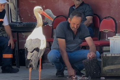 Balıkçı Ahmet ile leyleğin 10 yıllık kahvehane randevusu