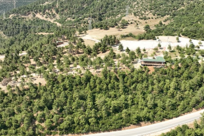 Gürsu Mesire alanı yeniden açılıyor