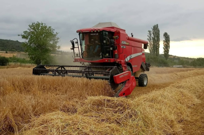 YENİŞEHİR’DE, YAĞIŞLAR BUĞDAY VE ARPA REKOLTESİNİ ARTIRDI