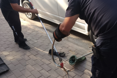 Minibüsün motoruna giren yılan itfaiye ekiplerini harekete geçirdi   