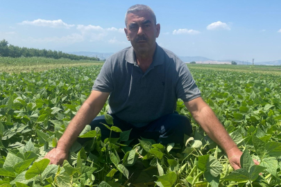 Çeltikçi’de örnek üretim modeli: Çiftçi kazanıyor, tarım güçleniyor
