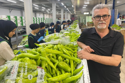 Yenişehir biberi Avrupa sofralarında