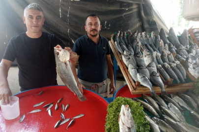 YENİŞEHİR’DE BALIKÇI TEZGÂHLARI ŞENLENDİ