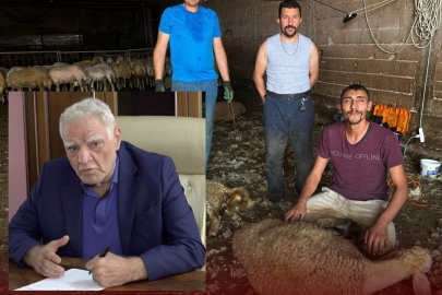 Bursa’da milyonluk yapağı heba oluyor: Fabrika çağrısı
