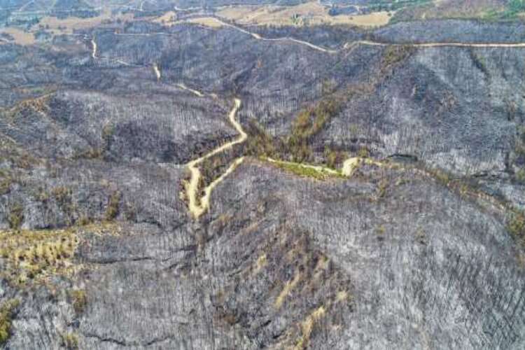 Aladağ'da yanan ormanlık alanlar drone ile görüntülendi