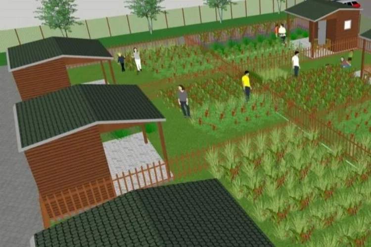 Şehrin gürültüsünden uzak! 8 bin metrekare Hobi Bahçesi tarımın merkezi olacak