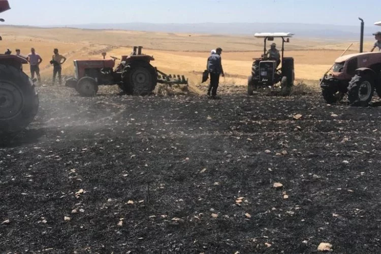 Biçerdöver yangını 100 dönümlük buğday tarlasını küle etti
