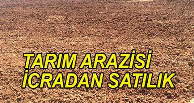 Bitlis Ahlat'ta 240 bin m² tarım arazisi icradan satılıktır