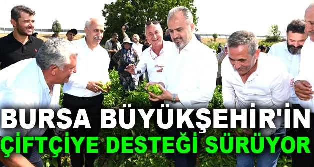 Bursa Büyükşehir'in çiftçiye desteği sürüyor