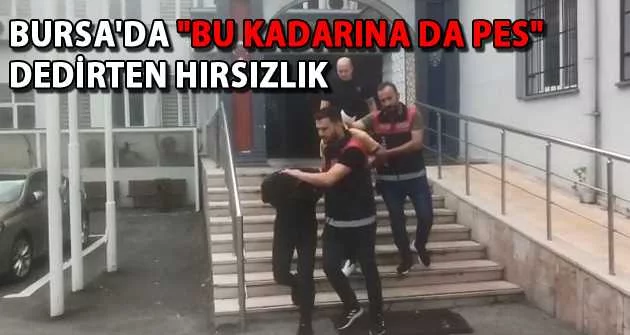 Bursa'da "bu kadarına da pes" dedirten hırsızlık