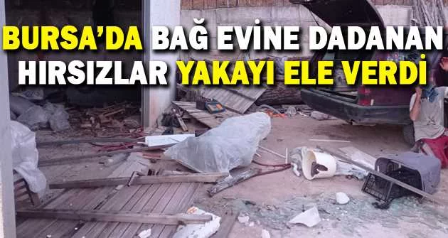 Bursa’da bağ evine dadanan hırsızlar yakayı ele verdi