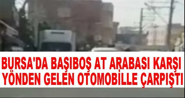Bursa'da başıboş at arabası karşı yönden gelen otomobille çarpıştı