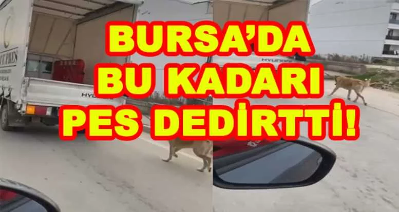 BURSA'DA BU KADARI PES DEDİRTTİ!