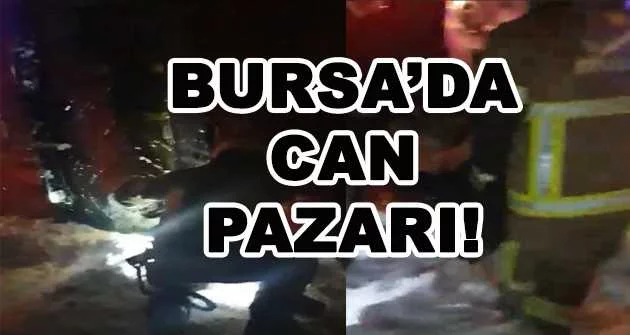 BURSA'DA CAN PAZARI!