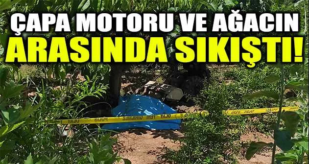 Bursa'da çapa motoru ve ağacın arasında sıkışan şahıs hayatını kaybetti