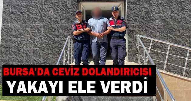 Bursa'da ceviz dolandırıcısı yakayı ele verdi