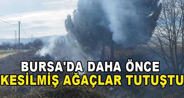 Bursa'da daha önce kesilmiş ağaçlar tutuştu