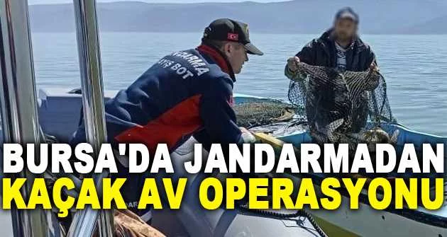 Bursa'da jandarmadan kaçak av operasyonu