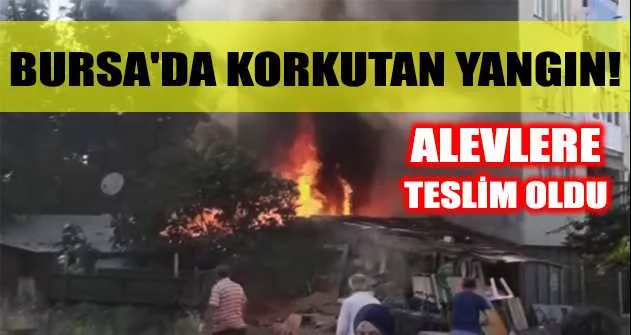 Bursa'da korkutan yangın ev alevlere teslim oldu