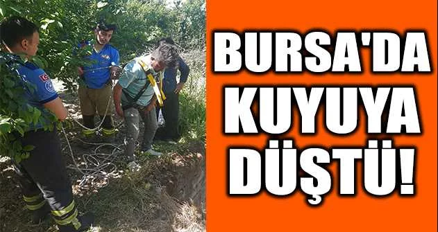 Bursa'da kuyuya düşen çakalı ekipler kurtardı
