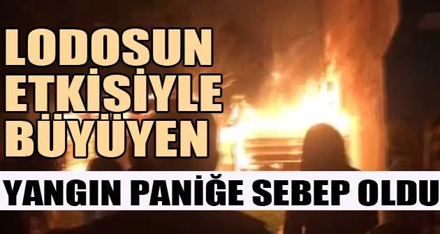 Bursa'da lodosun etkisiyle büyüyen yangın paniğe sebep oldu
