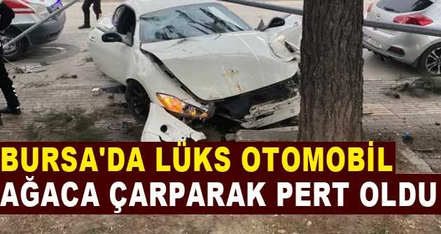 Bursa'da lüks otomobil ağaca çarparak pert oldu
