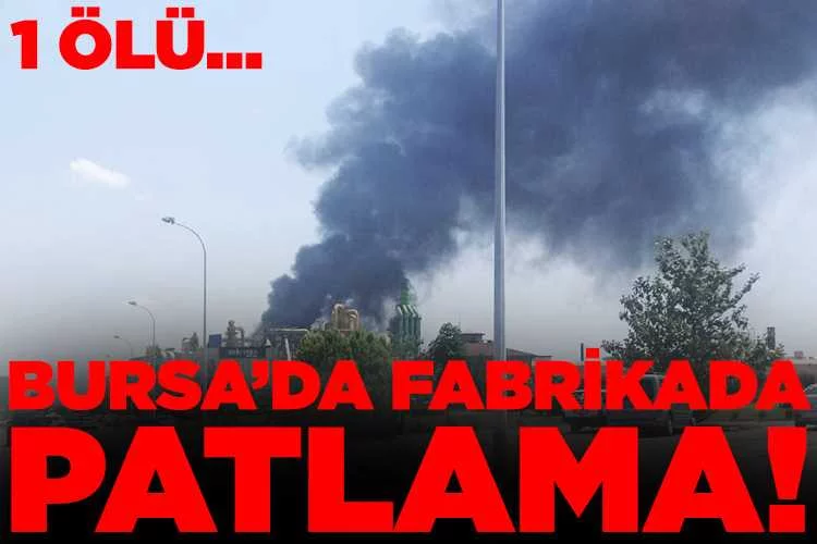Bursa'da orman ürünleri fabrikasında kazan patladı, yangın çıktı: 1 ölü, 3 yaralı