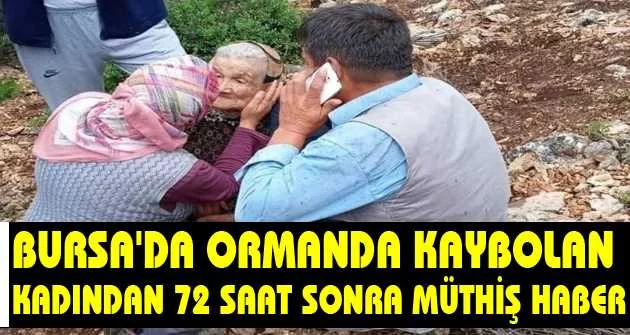 Bursa'da ormanda kaybolan kadından 72 saat sonra müthiş haber