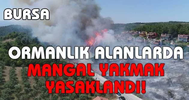 Bursa'da ormanlık alanlarda mangal yakmak yasaklandı