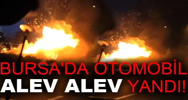 Bursa'da otomobil alev alev yandı, alevler ağaca ve otluk alana sıçradı
