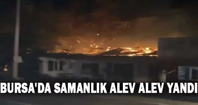 Bursa'da samanlık alev alev yandı