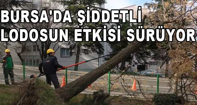 Bursa'da şiddetli lodosun etkisi sürüyor