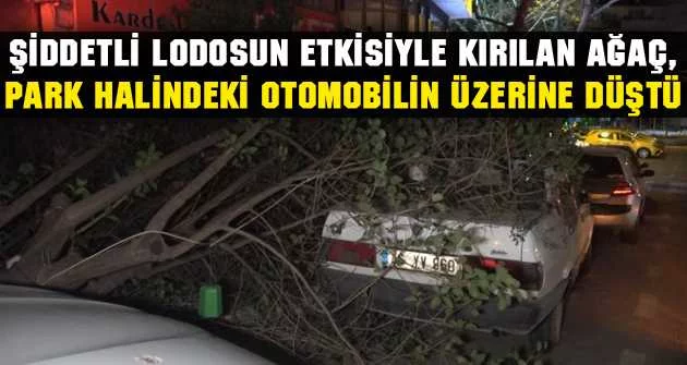Bursa’da şiddetli lodosun etkisiyle kırılan ağaç, park halindeki otomobilin üzerine düştü