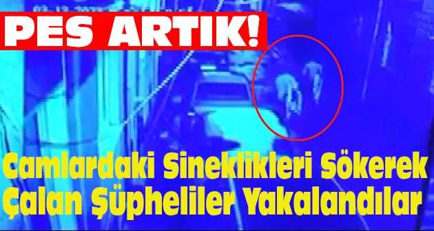 Bursa'da sineklik hırsızları kameralara yakalandı