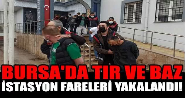 Bursa'da tır ve baz istasyon fareleri yakalandı
