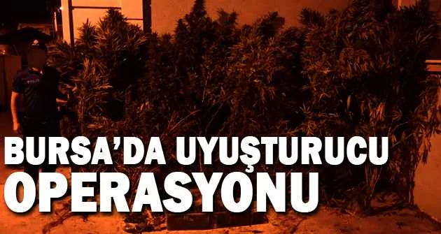 Bursa’da uyuşturucu operasyonu: 1 gözaltı