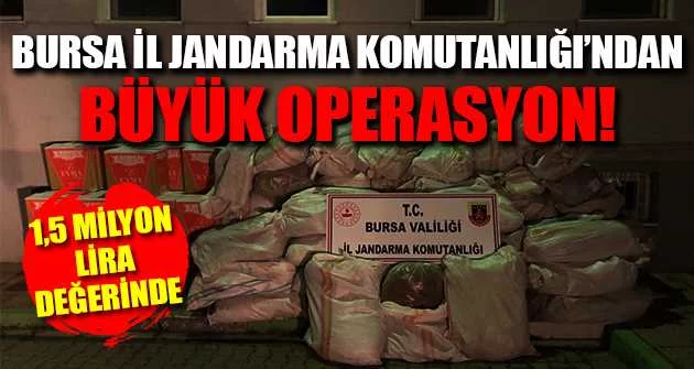 Bursa İl Jandarma Komutanlığı'ndan büyük operasyon