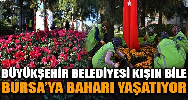Büyükşehir Belediyesi kışın bile Bursa’ya baharı yaşatıyor