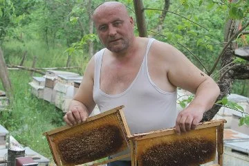 Çılgın arıcı: Arılara yarı çıplak ve eldivensiz müdahale ediyor