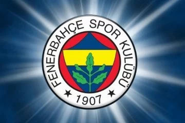 Fenerbahçe'de 3 oyuncu PFDK'ya sevk edildi